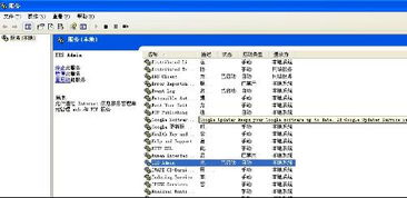 為什么Internet信息服務(wù)中沒(méi)有項(xiàng)目顯示？